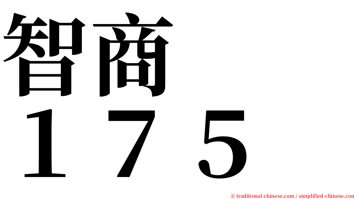 智商　　１７５ serif font